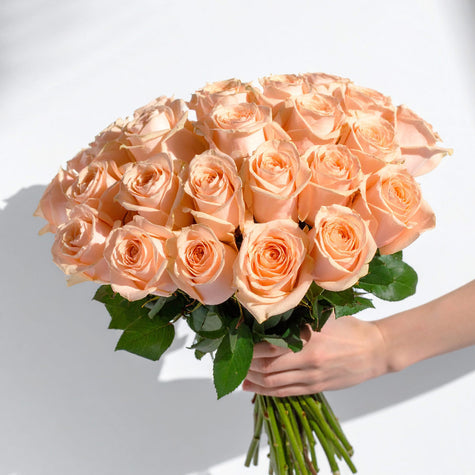 Peach Roses with Next Day Delivery UK