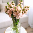Peach Stocks Scented British Flowers Delivery