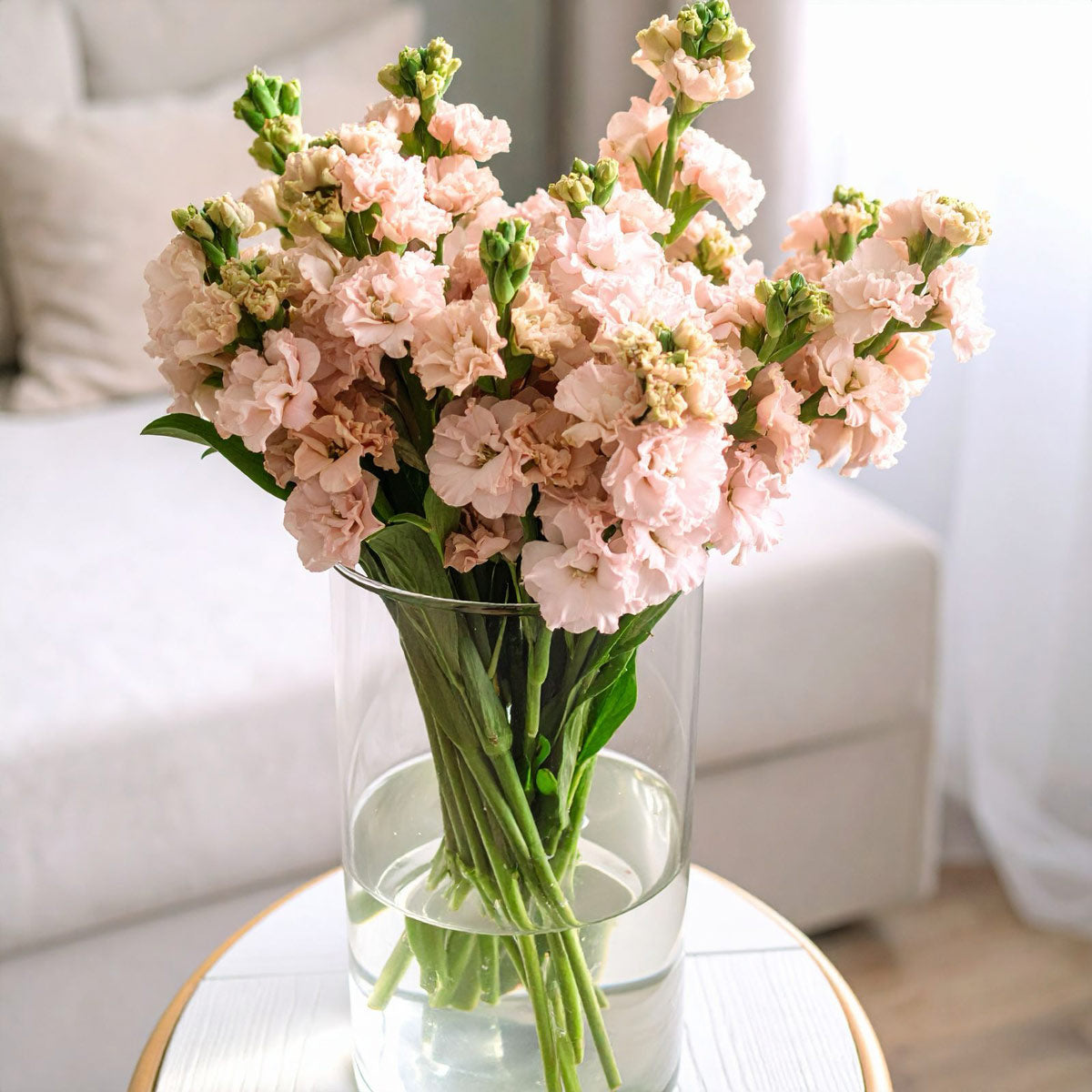 Peach Stocks Scented British Flowers Delivery