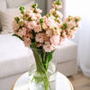 Peach Stocks Scented British Flowers Delivery
