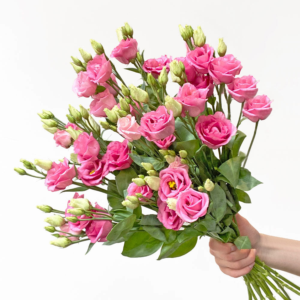 Pink Lisianthus Eustoma Flowers Bouquet - LOV Flowers