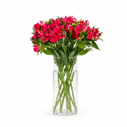 A bouquet of bright pink alstroemeria flowers with green stems and leaves, arranged in a clear glass vase on a white background.
