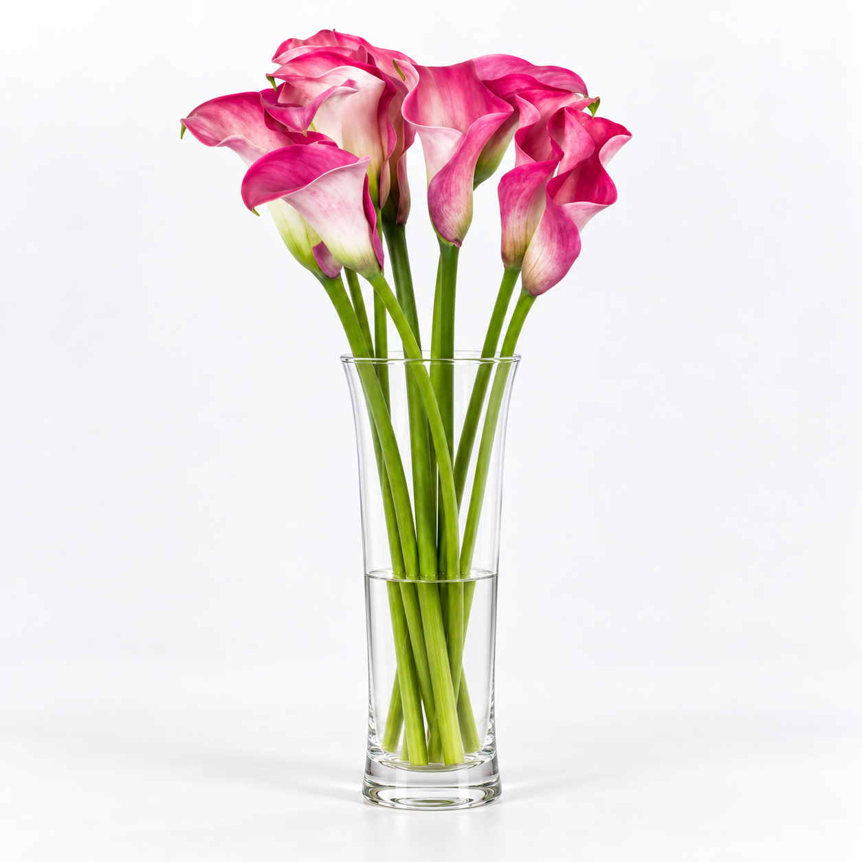 Pink Calla Lilies – Captain Romance