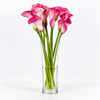 Pink Calla Lilies – Captain Romance