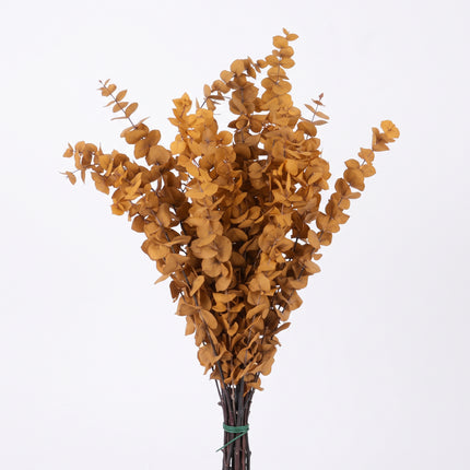 Yellow Preserved Eucalyptus Bunch
