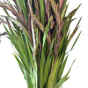 Purple Gladioli – British Grown | 75cm