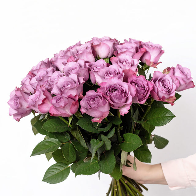 Purple Roses Delivery Next Day UK