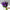 Hand holding purple stock bouquet – bold, fragrant British flowers