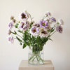 A close-up bouquet of lavender and white lisianthus flowers with green stems and leaves against a soft beige background.