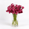 Pink Jewel Calla Lilies