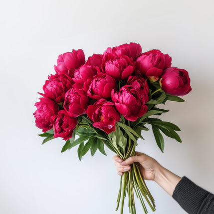 British-Grown Red Peonies with Free Delivery
