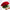Luxury Red Roses Bouquet with Free Next Day Delivery