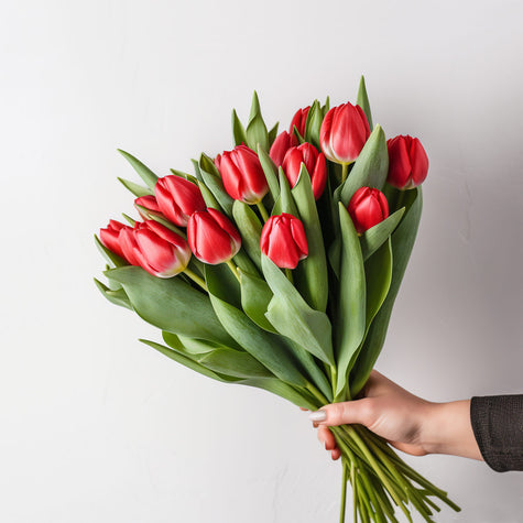 British Red Tulips Delivered Next Day