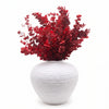 Red Preserved Eucalyptus Bunch
