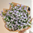 British Lavender Campanula | Fresh Seasonal Bellflowers