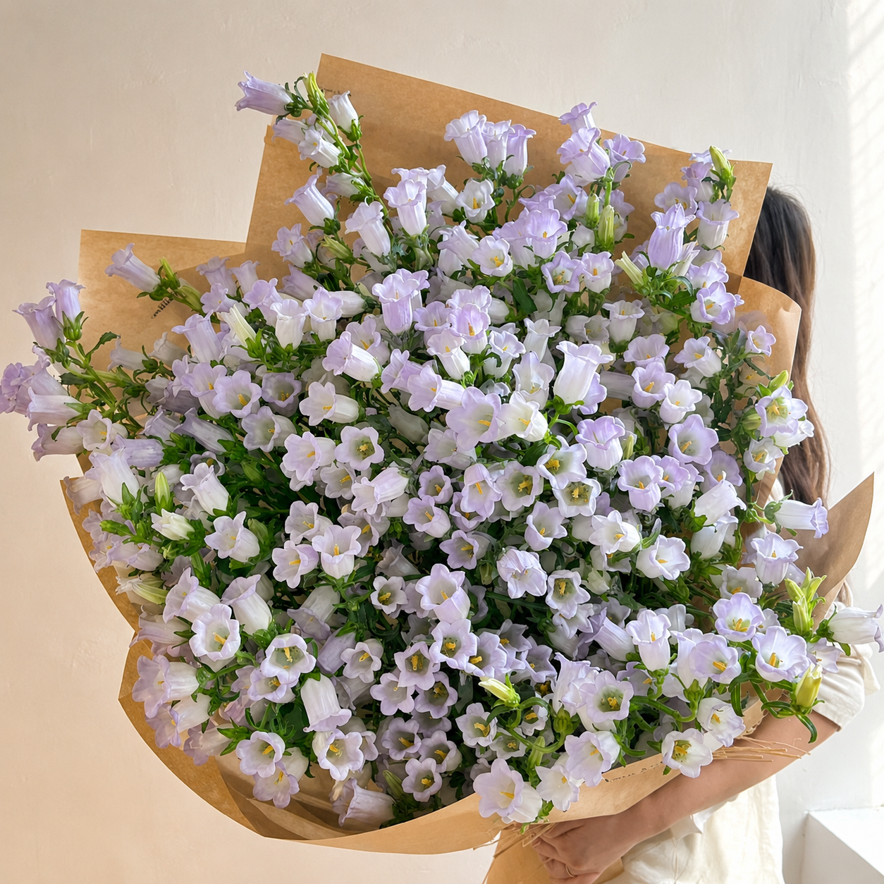 British Lavender Campanula | Fresh Seasonal Bellflowers