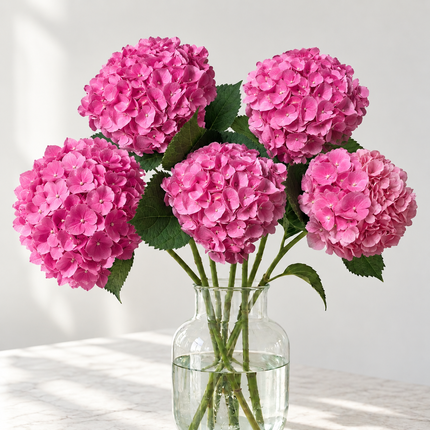 UK Grown Hydrangea ‘Diamond Pink’