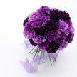 The Carnation Posy