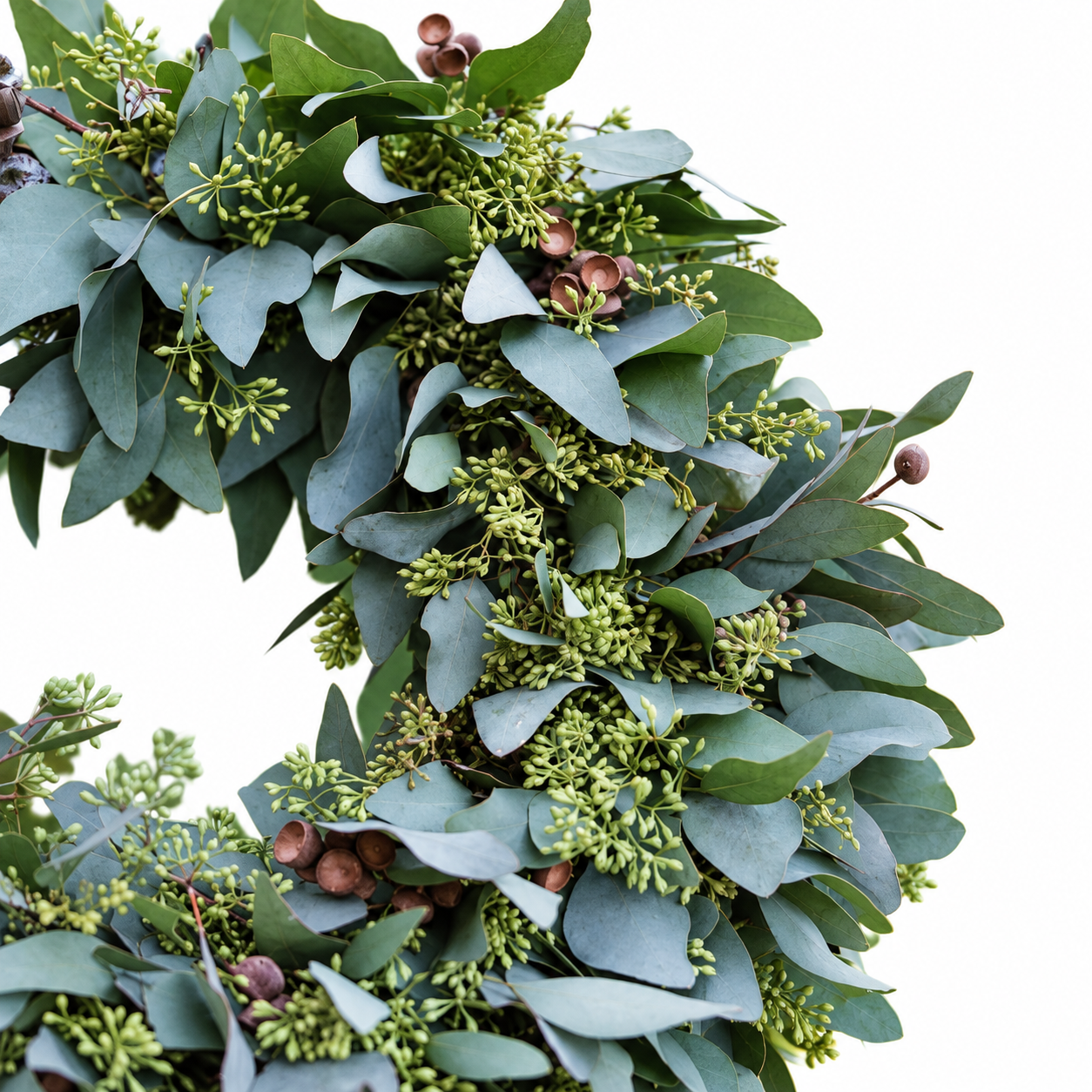 Fresh Eucalyptus & Berry Wreath
