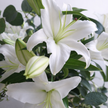 White Lily & Eucalyptus Bouquet