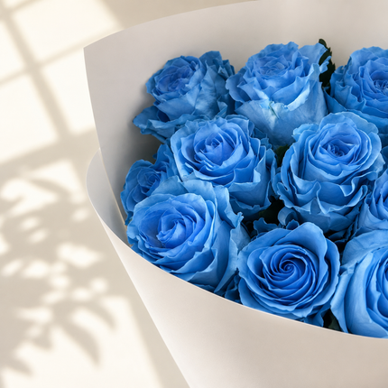 Ecuadorian Blue Bell Dyed Roses | Premium Fresh Cut Blue Roses