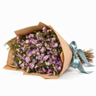 Pink Waxflower