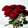 Premium Red Naomi Roses