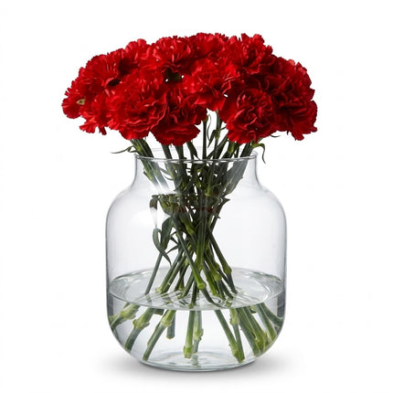Carnations - Red