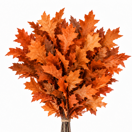 Frost Orange Dyed Oakleaf