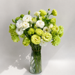 UK Grown Green Jade Lisianthus