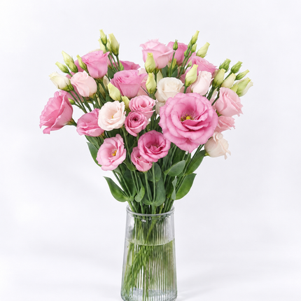 UK Grown Rosita Pink Lisianthus
