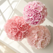 The Blush Carnation Posy