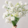 UK Grown White Lisianthus