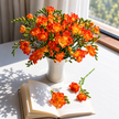 Sunset Orange Freesia