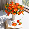 Sunset Orange Freesia