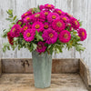 British Grown Hot Pink Zinnias