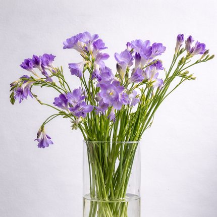 Lilac Freesia Bouquet