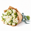 White Freesia - 50 Stems