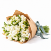 White Freesia - 50 Stems