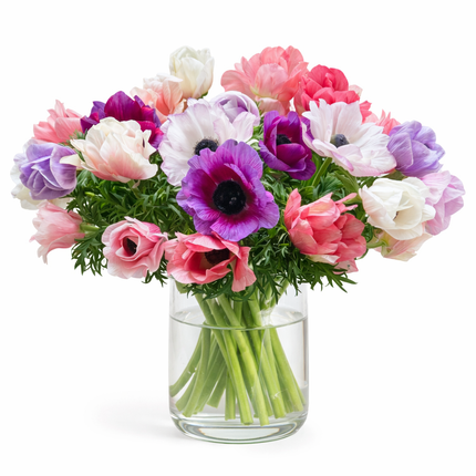 Mixed Jewel & Pastel Anemones