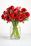 British Grown Red Anemones