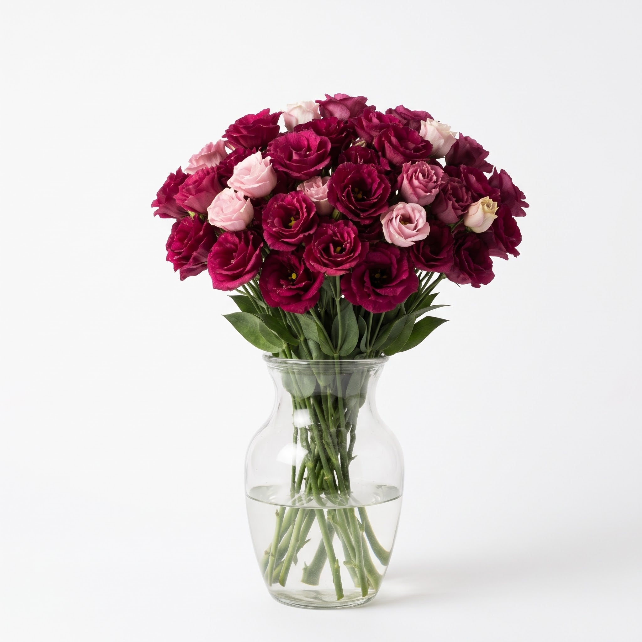 Autumn Lisianthus