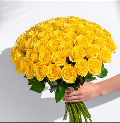 Yellow Rose Stems | Moonwalk Roses | Fresh UK Delivery