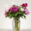 British-Grown Mixed Peonies