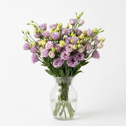 UK Grown Rosita Pink Lisianthus