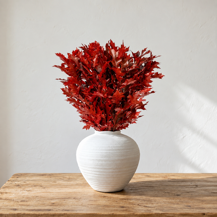 Red Dyed Oakleaf