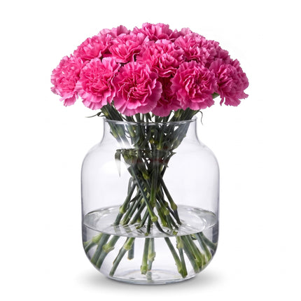 Carnations - Hot pink