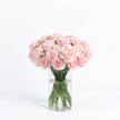 Vintage Blush Carnations
