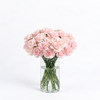 Vintage Blush Carnations