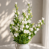 British white Campanula | Fresh Seasonal Bellflowers